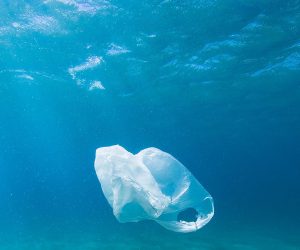 Eco bag supplier in coimbatore